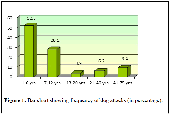 Dog Bite Chart