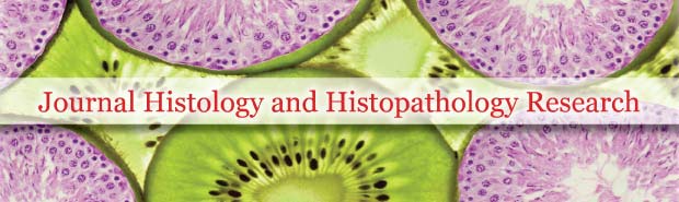 Histology and Histopathology Research