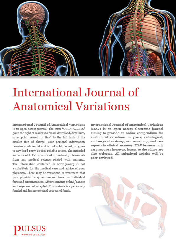 Международный журнал анатомических вариаций