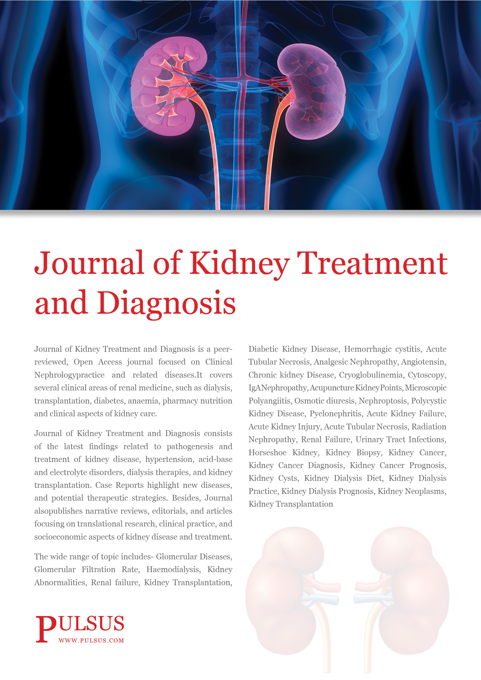 Revista de tratamiento y diagnóstico renal