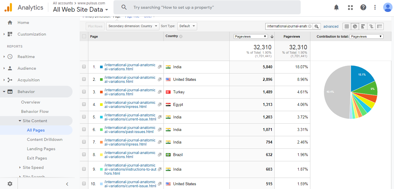 Visitor Analysis Report