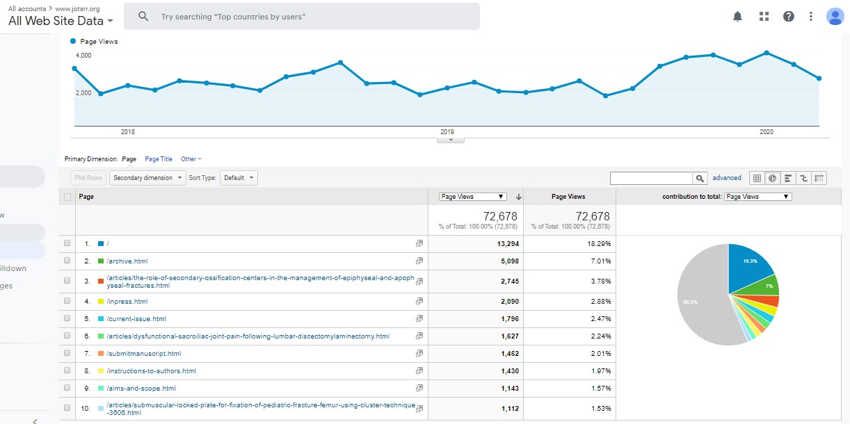 Visitor Analysis Report