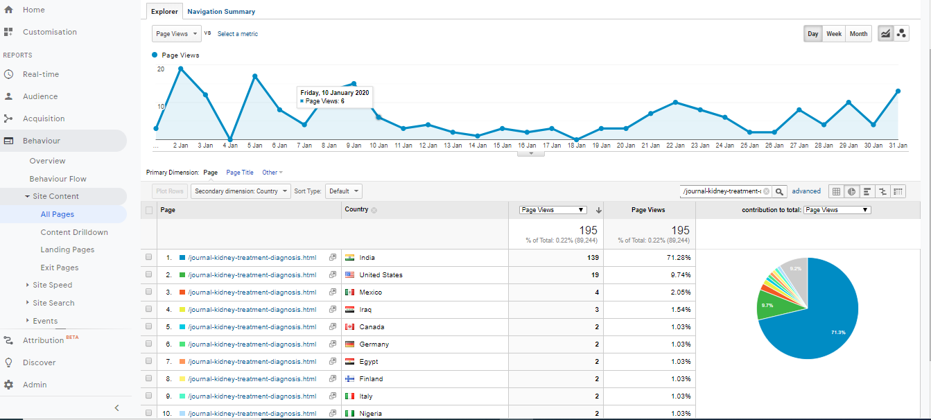 Visitor Analysis Report