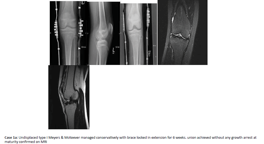 Orthopaedics-Trauma-confirmed