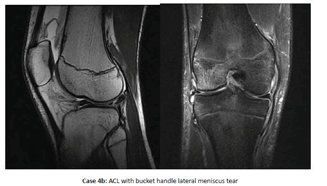 Orthopaedics-Trauma-handle