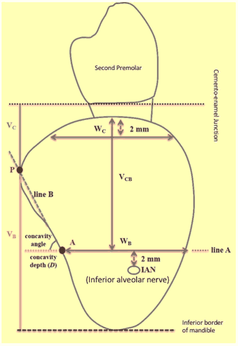 annals-medical-ridge