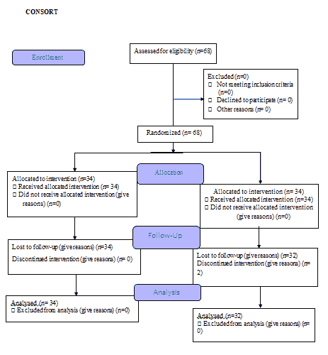 asean-psychiatry-consort-flowchart