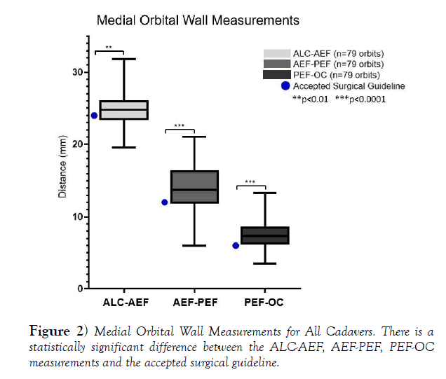 international-journal-anatomical-variations-Measurements