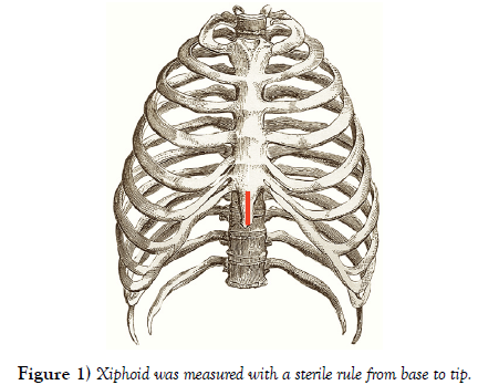 international-journal-anatomical-variations-measured