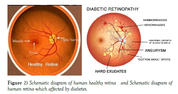 journal-pure-applied-mathematics-retina