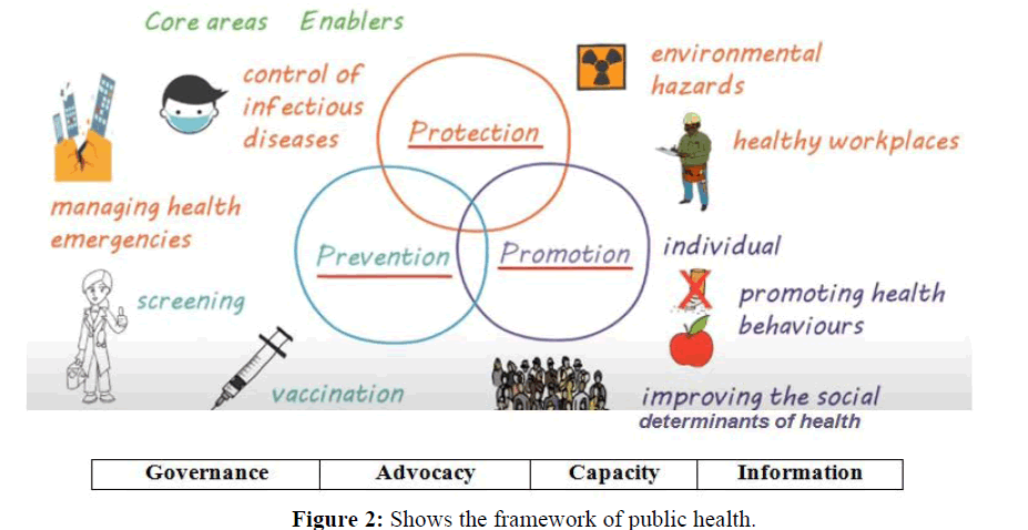 Electronic-Biology-framework