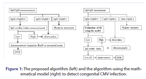 JBCLINPHAR-algorithm