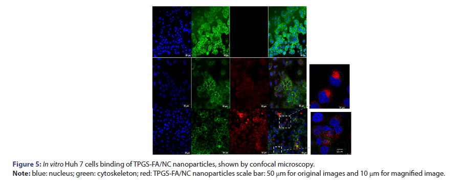 JBCLINPHAR-confocal