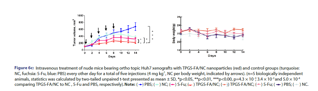 JBCLINPHAR-nanoparticles