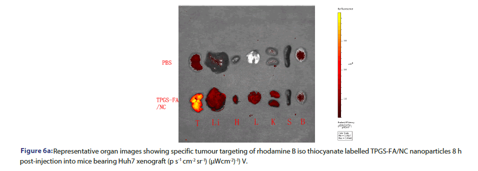 JBCLINPHAR-specific