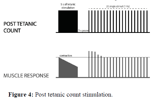 annals-post-tetanic