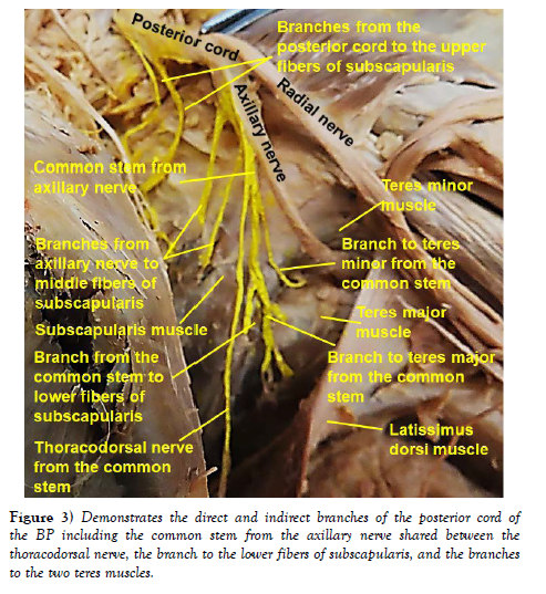 international-journal-direct