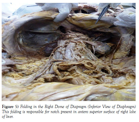 international-journal-folding