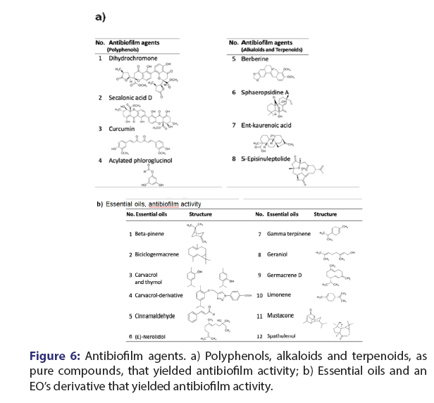 jbclinpharm-alkaloids