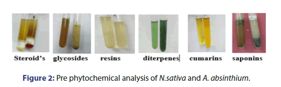 jbclinpharm-phytochemical