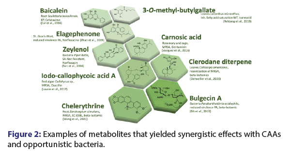 jbclinpharm-synergistic