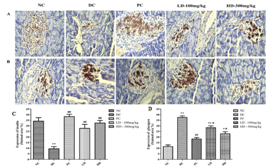 pulhhr-insulin