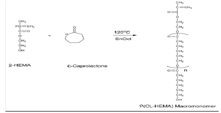 pulnl-8-1-Mechanism