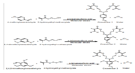 pulnl-8-1-Synthesi