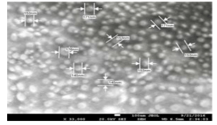 pulnl-8-1-micrographs-g010