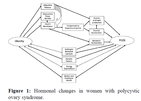 AMHSR-women