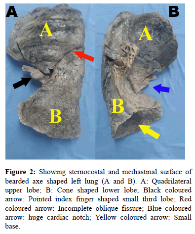 Annals-Health-Small
