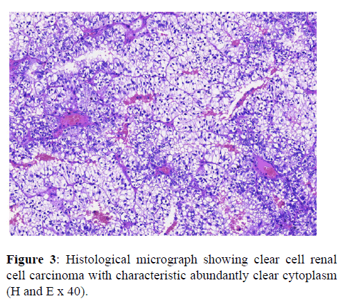 Annals-Medical-micrograph