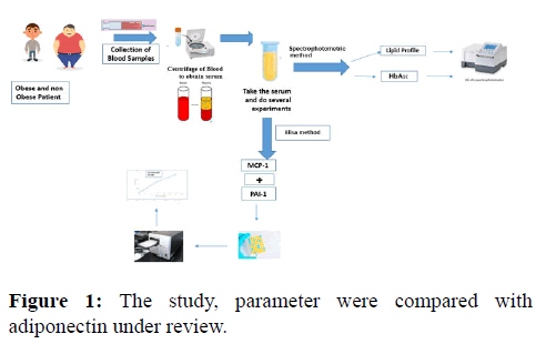 Annals-Research-adiponectin