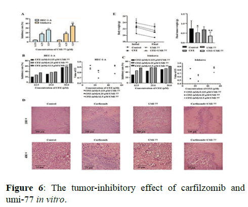 Annals-Research-effect