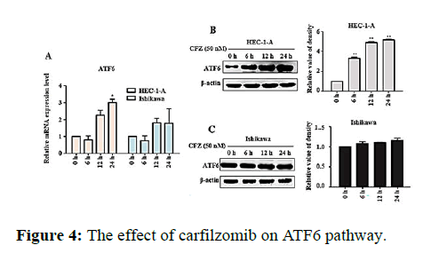 Annals-Research-pathway