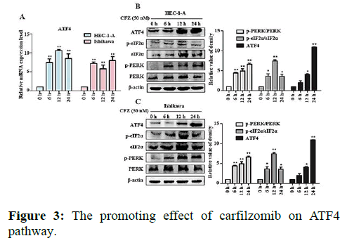 Annals-Research-promoting