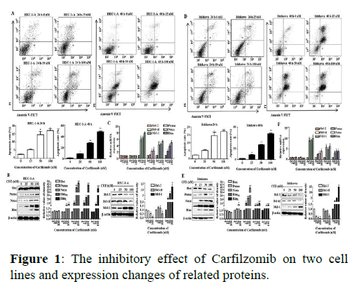 Annals-Research-proteins