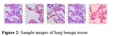 Annals-Research-tissue