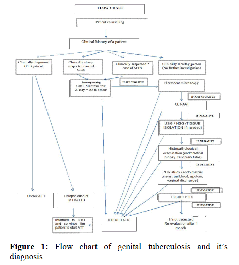 Annals-Sciences-tuberculosis