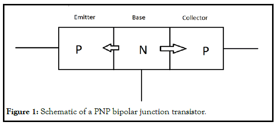 PULJPAM-PNP