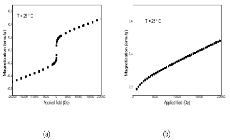 applied-mathematics-magnetization