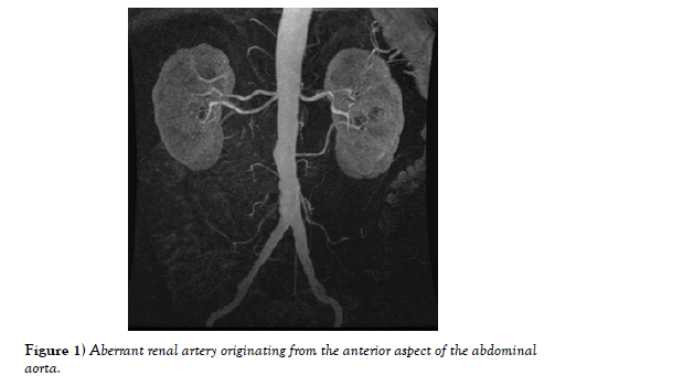 international-journal-anatomical-variations-Aberrant