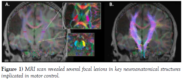 international-journal-anatomical-variations-revealed