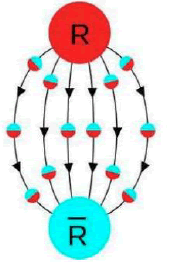 puljmap-gluon