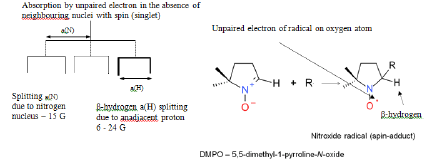 puljmap-perturbation