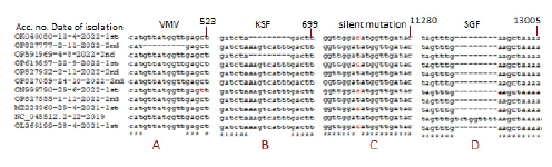 puljmbr-6-2-Detection