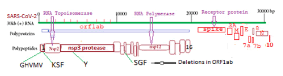 puljmbr-6-2-Structure