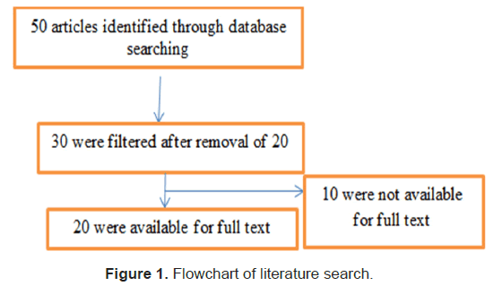 medical-health-search