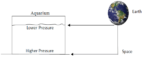 puljpam-Analogy