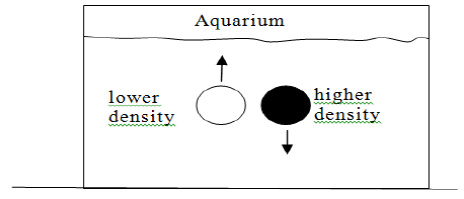 puljpam-aquarium